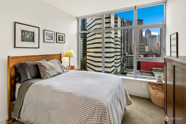 view of carpeted bedroom