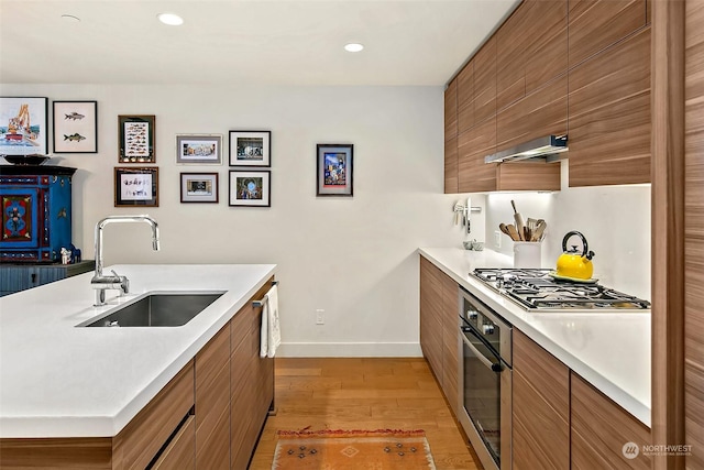 kitchen featuring appliances with stainless steel finishes, light hardwood / wood-style floors, sink, and exhaust hood