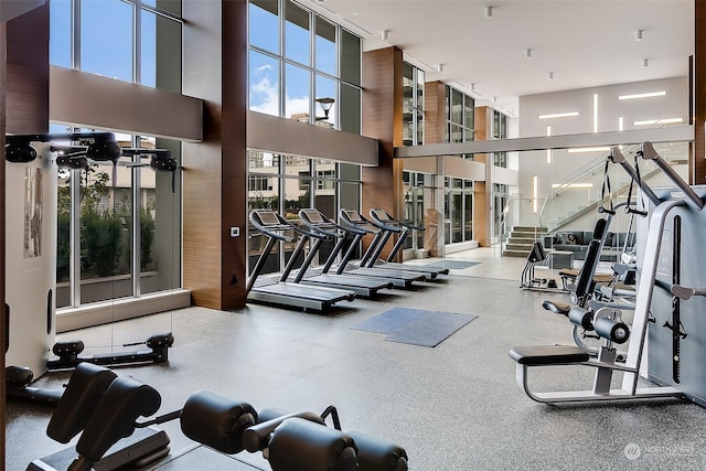 exercise room featuring plenty of natural light and a high ceiling