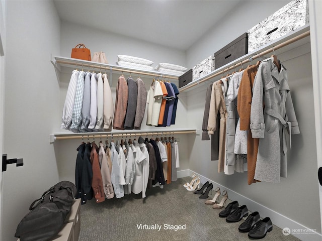 spacious closet featuring carpet