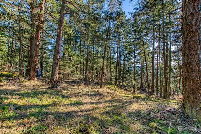 0 Veneda Trl, Orcas Island WA, 98245 land for sale