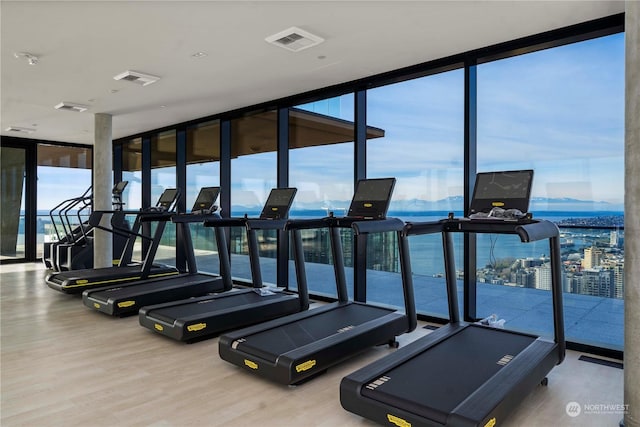 exercise room with wood-type flooring and floor to ceiling windows