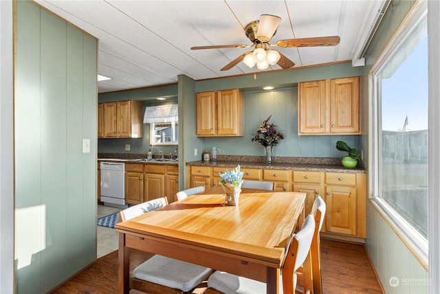 kitchen with ceiling fan, dark hardwood / wood-style flooring, dishwasher, and sink