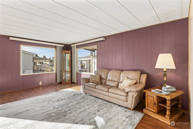 living room with hardwood / wood-style floors and wood walls