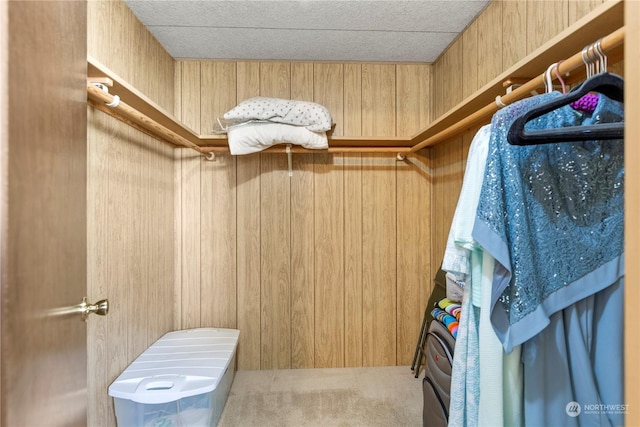 spacious closet with carpet