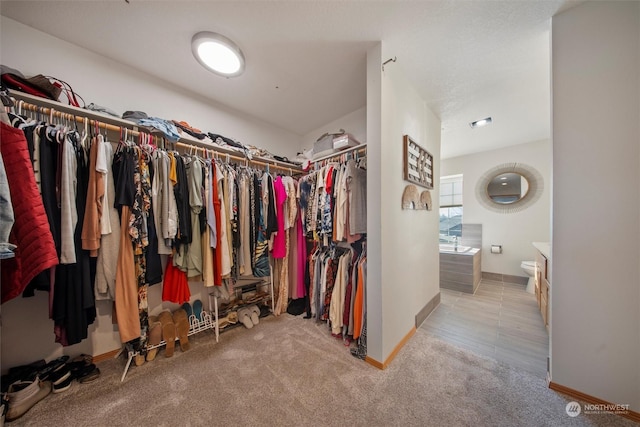 spacious closet featuring light carpet