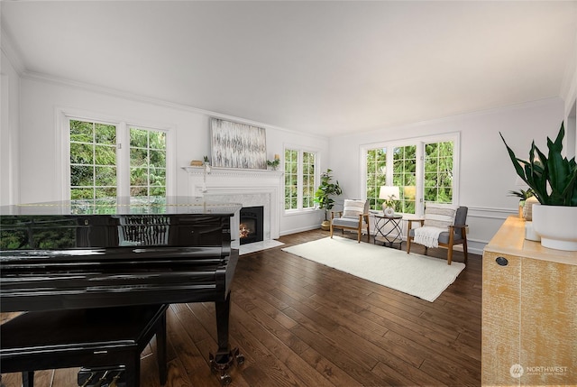 interior space with dark hardwood / wood-style flooring, crown molding, and a fireplace