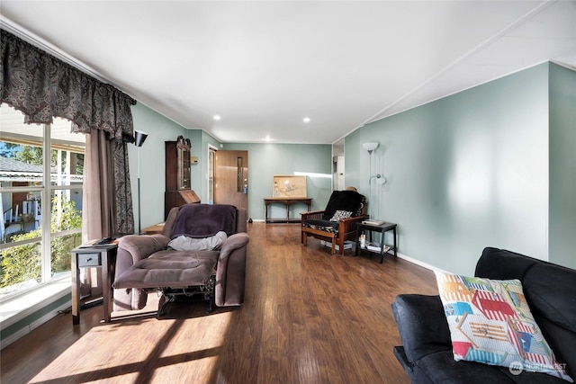 living room featuring dark hardwood / wood-style flooring