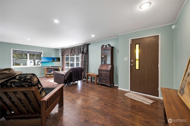 living room with dark hardwood / wood-style floors