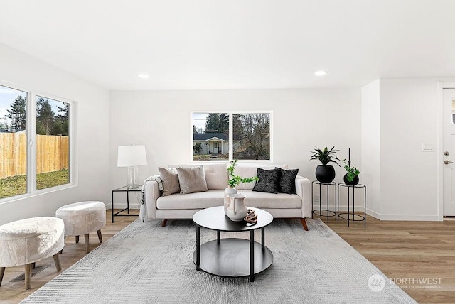 living room featuring light wood-type flooring