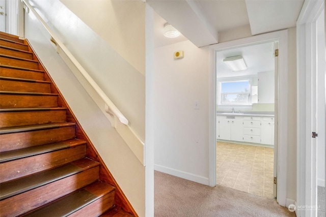 stairs with sink and carpet