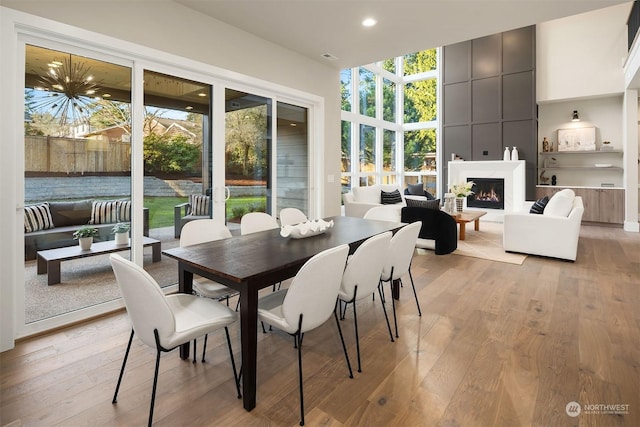 dining room with light hardwood / wood-style flooring