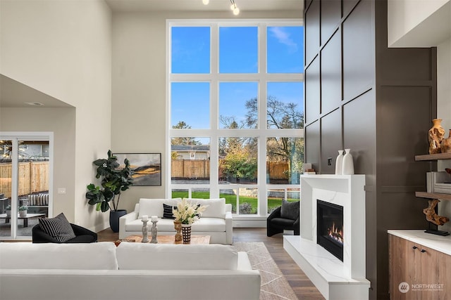 living room featuring a fireplace, a healthy amount of sunlight, a high ceiling, and wood-type flooring