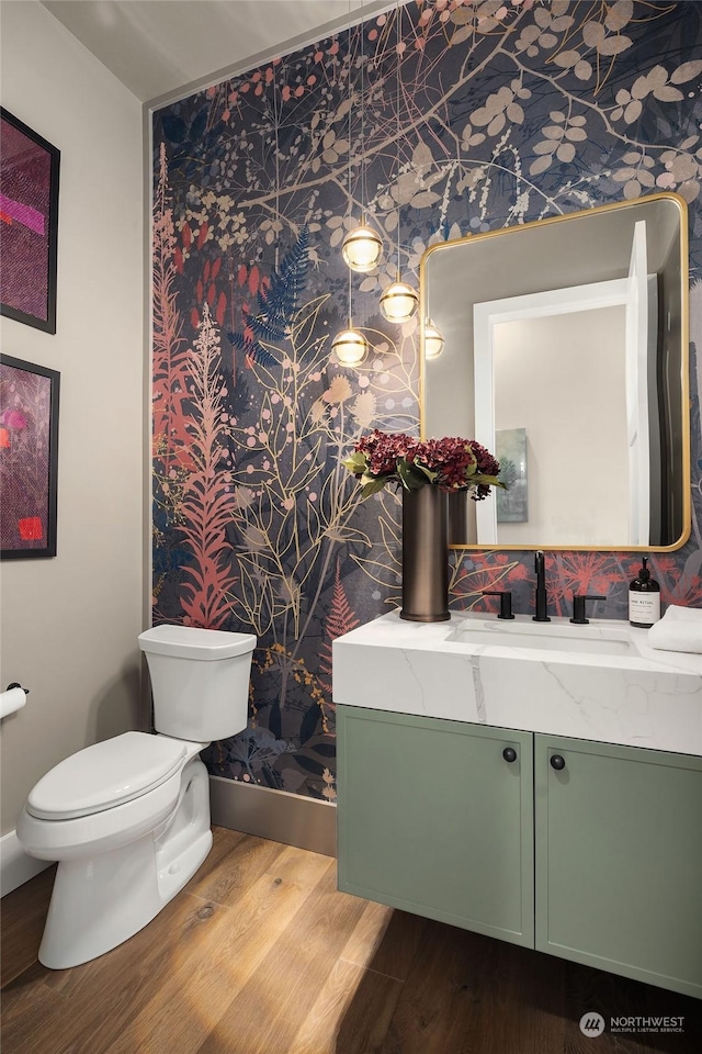 bathroom featuring vanity, toilet, and hardwood / wood-style flooring