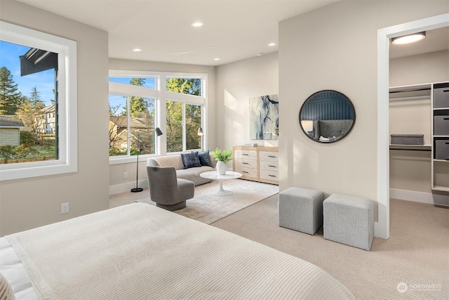 carpeted bedroom with a walk in closet