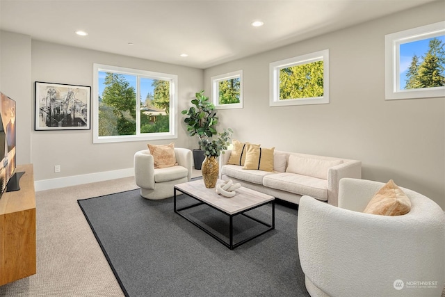 view of carpeted living room