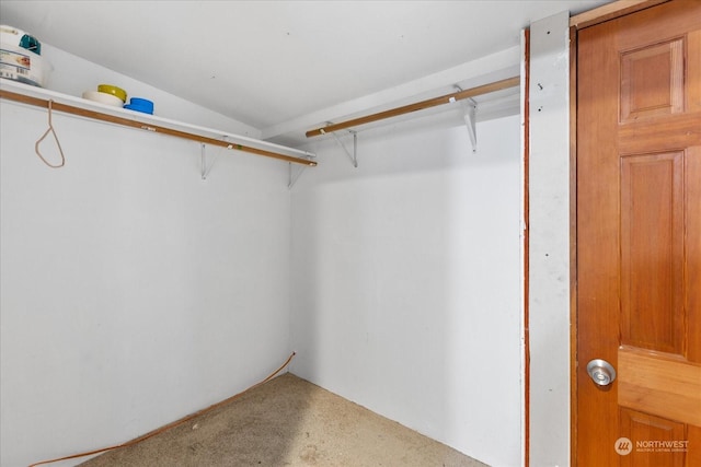 spacious closet with carpet floors