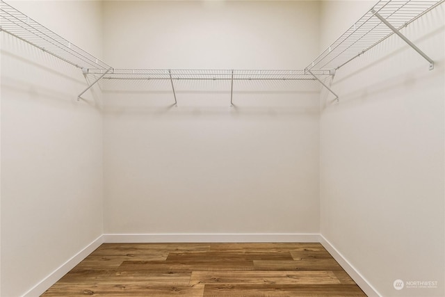 walk in closet featuring hardwood / wood-style floors