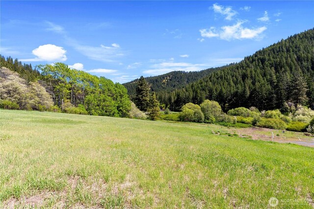 1111 Chumstick Hwy, Leavenworth, WA 98826 - photo 2