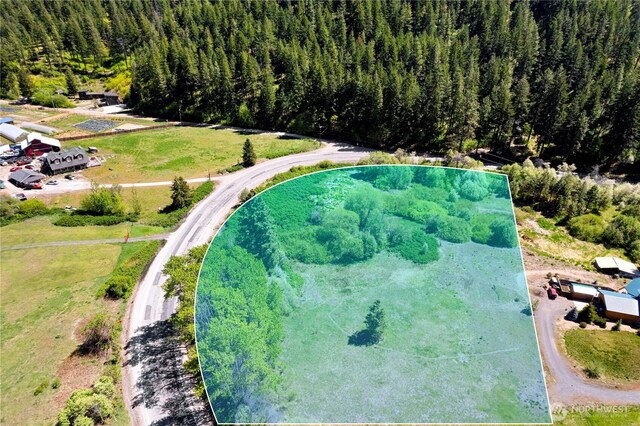 1111 Chumstick Hwy, Leavenworth, WA 98826 - photo 3