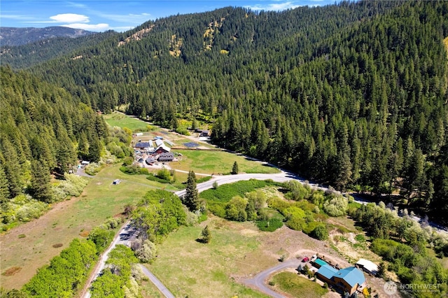 1111 Chumstick Hwy, Leavenworth, WA 98826 - photo 4