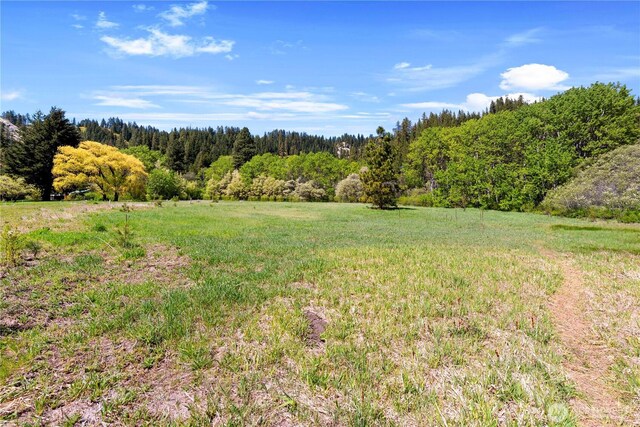 1111 Chumstick Hwy, Leavenworth, WA 98826 - photo 5