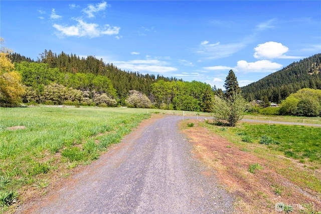1111 Chumstick Hwy, Leavenworth, WA 98826 - photo 6