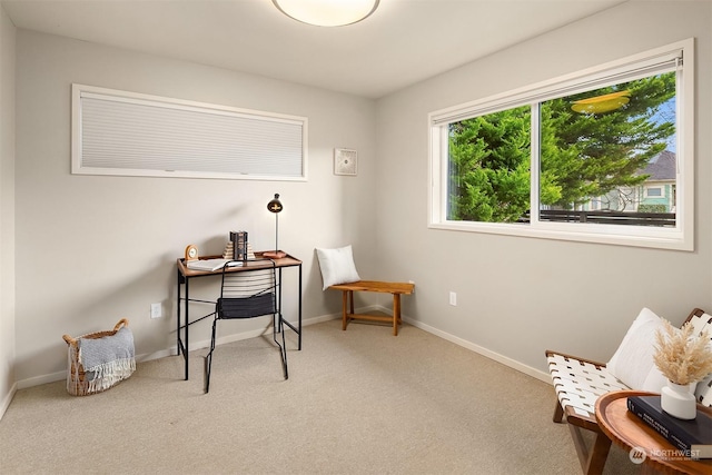 view of carpeted home office