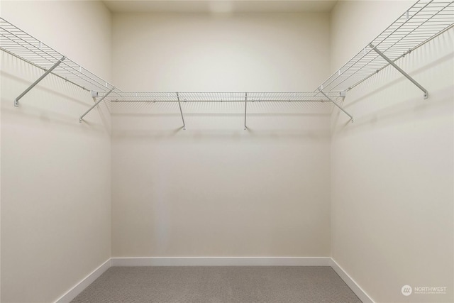 walk in closet with carpet