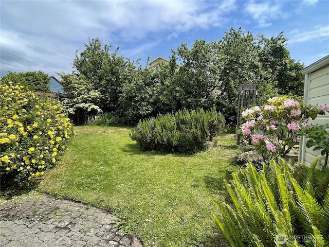 630 Cass St, Port Townsend, WA 98368 - view of grassy yard