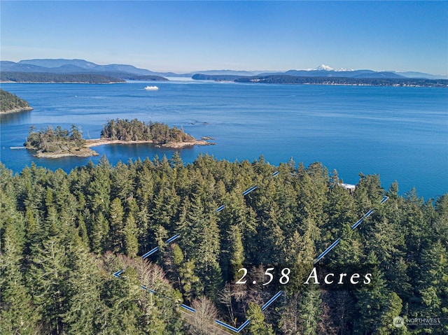 birds eye view of property featuring a water and mountain view