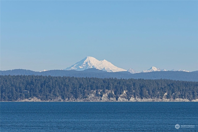 water view with a mountain view