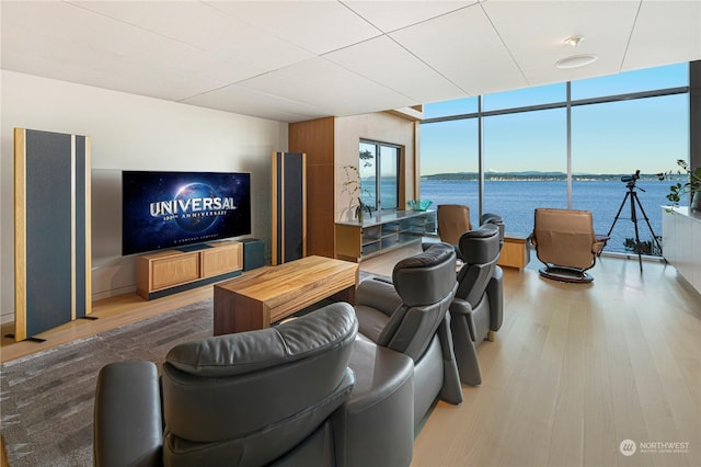 living room featuring expansive windows, a healthy amount of sunlight, and wood-type flooring