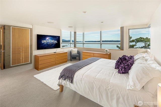 2623 Pear Point Rd, Friday Harbor, WA 98250 - view of carpeted bedroom