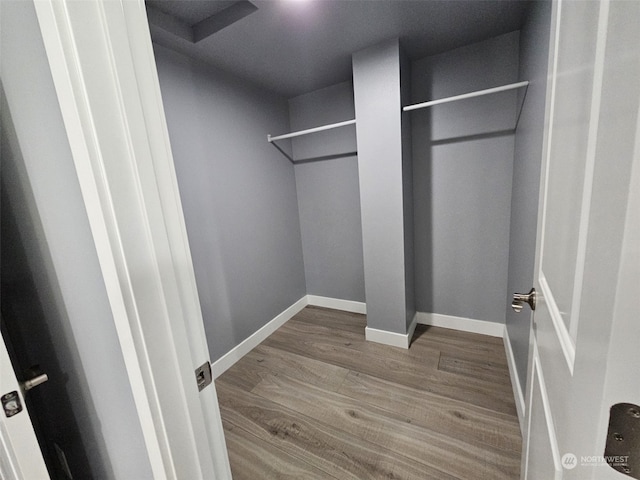 walk in closet with hardwood / wood-style floors