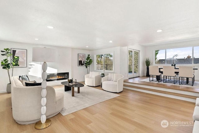 living room featuring light wood-type flooring