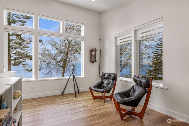 living area with light hardwood / wood-style floors