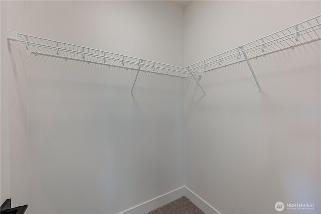 402 Pagget Ave, Winlock, WA 98596 - spacious closet featuring dark carpet