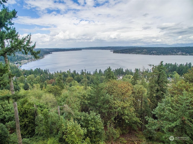 173XX SE 42nd Ct, Bellevue WA, 98006 land for sale