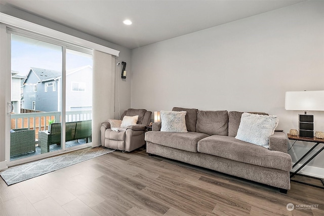 living room featuring wood-type flooring