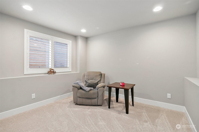 living area featuring light colored carpet