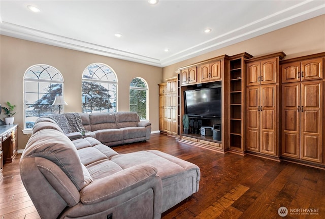 living room featuring dark hardwood / wood-style flooring