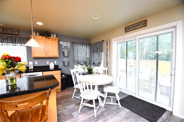 kitchen featuring decorative light fixtures, dark hardwood / wood-style flooring, dishwasher, and light brown cabinets