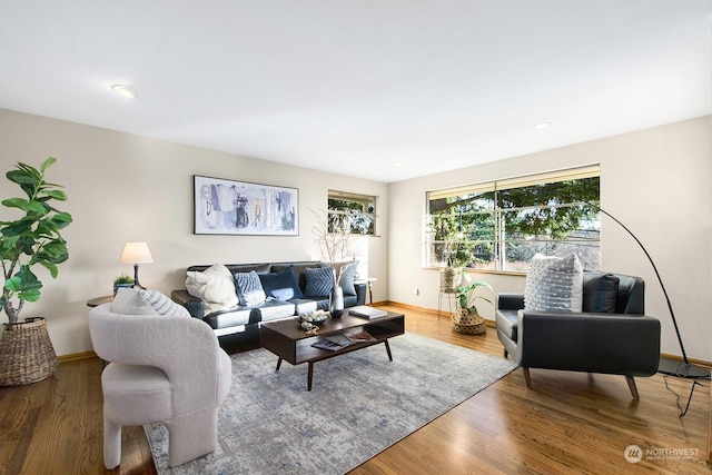 living room featuring hardwood / wood-style floors