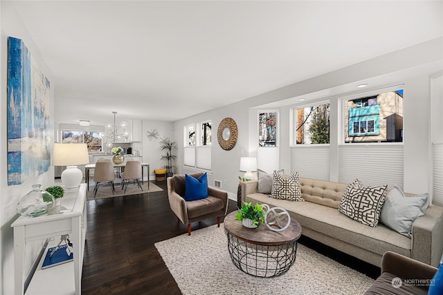 living room with hardwood / wood-style floors, a chandelier, and a healthy amount of sunlight