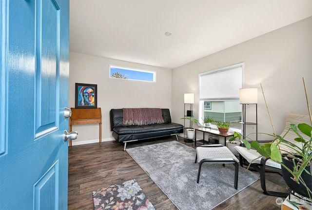 living room with dark wood-type flooring