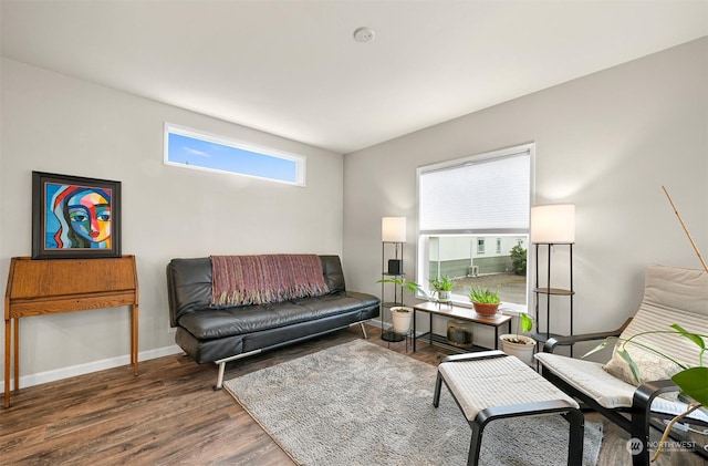 living room featuring dark wood-type flooring