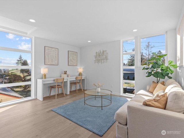 living room with hardwood / wood-style floors and a wall of windows