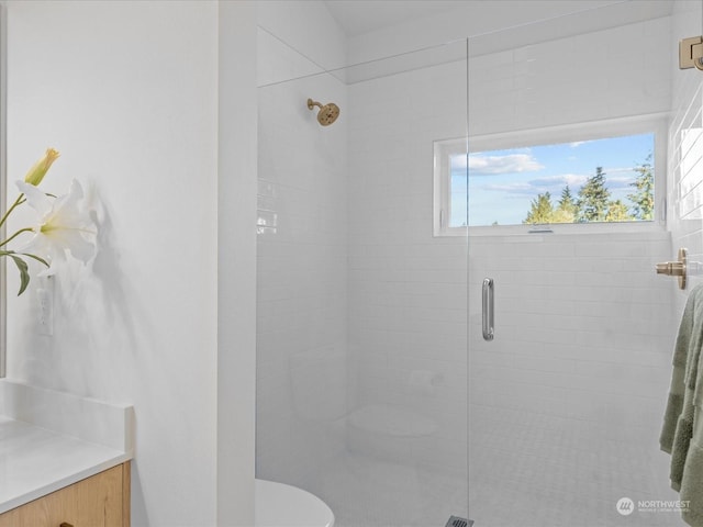 bathroom featuring toilet, a shower with door, and vanity