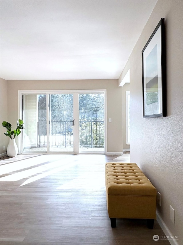 living room featuring hardwood / wood-style floors